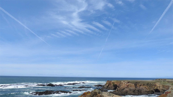 SoCoastalTrail