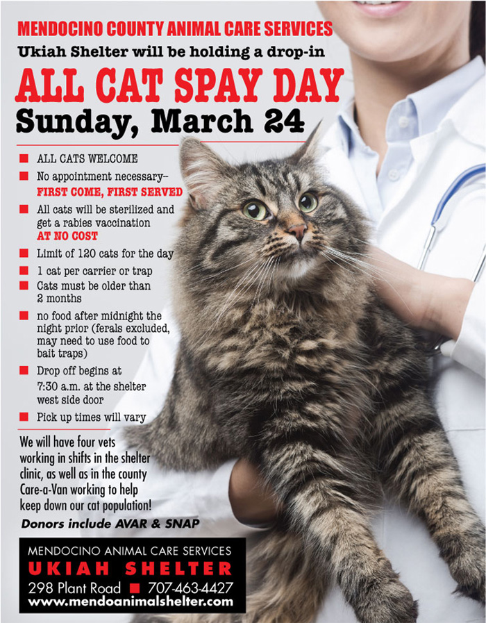 SpayDay