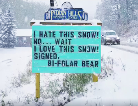 BipolarBear