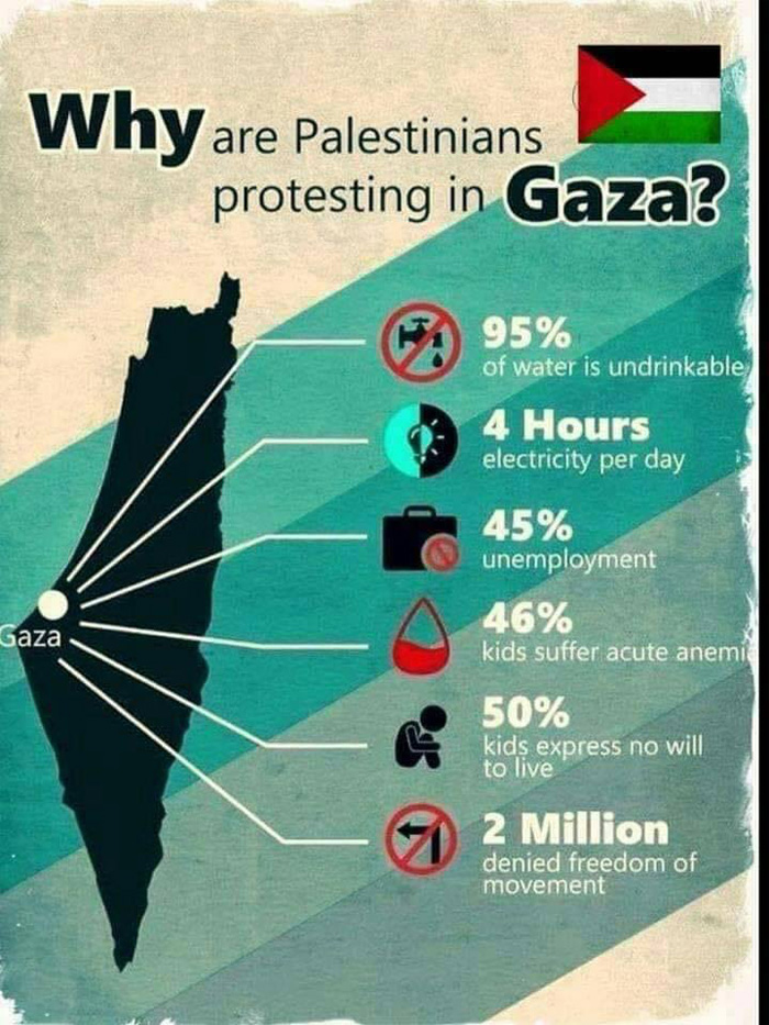 GazaProtestCauses