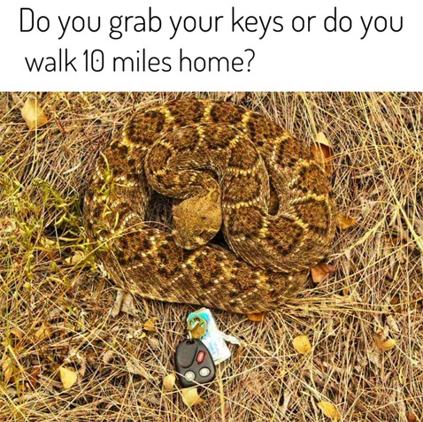 KeysOrWalk
