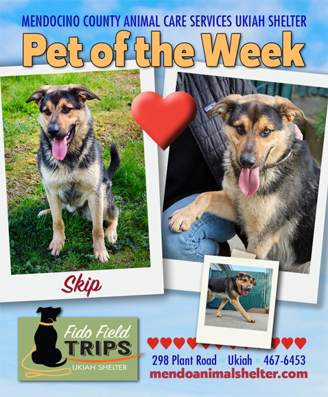 PetsOfWeek