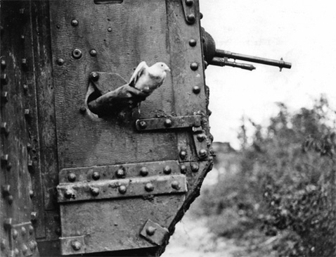PigeonRelease