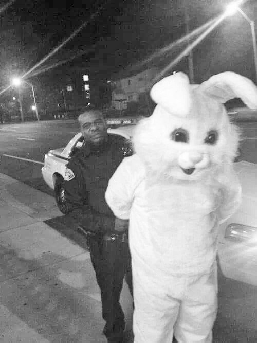 RunRabbitRun