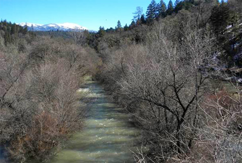 SalmonParkway