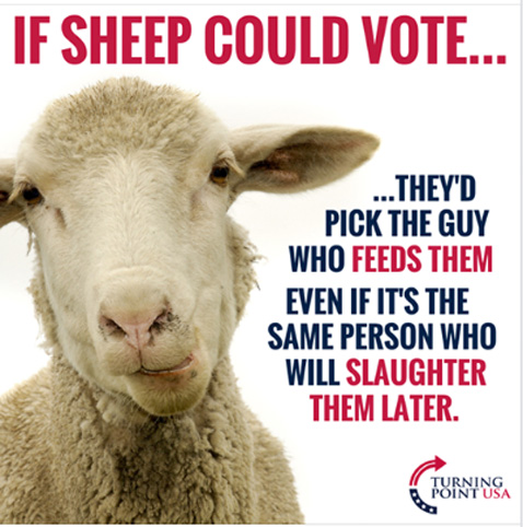 SheepVoters
