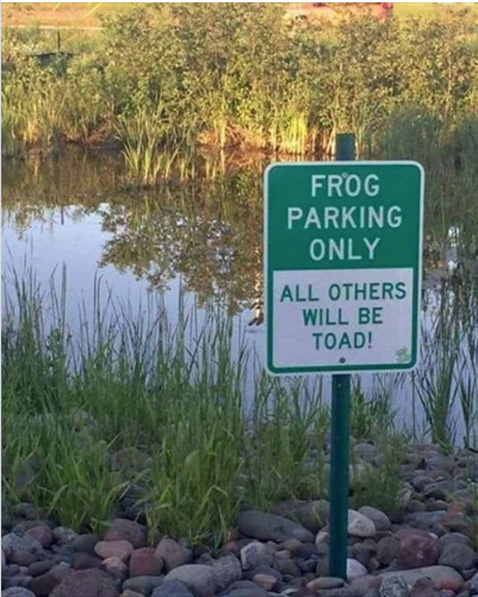 ToadZone
