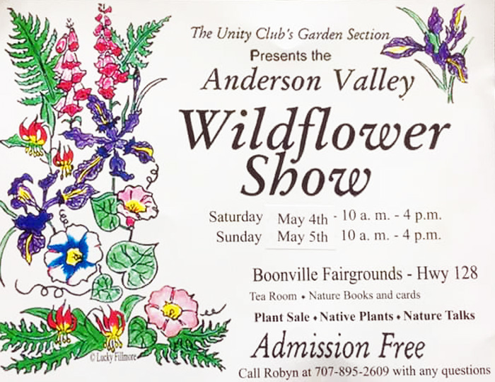 WildFlowerShow