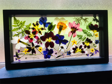 WildflowerShow1