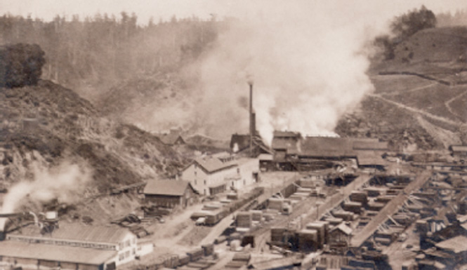 Albion1895