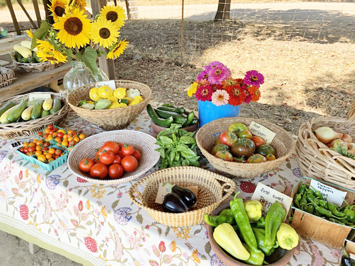 BlueMeadowFarm