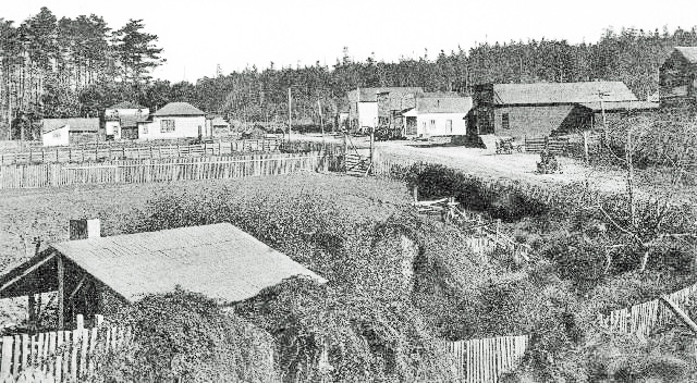 Cleone1905
