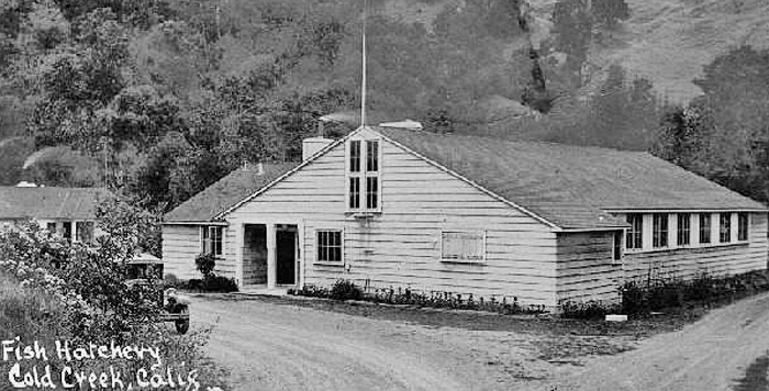 ColdCreekFishHatchery