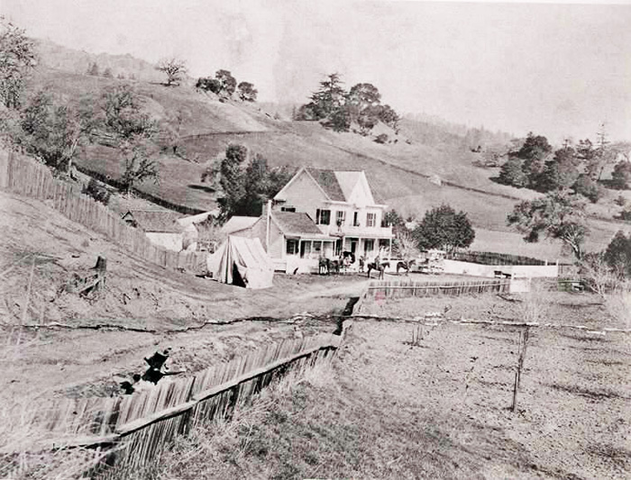 EarlyYorkville