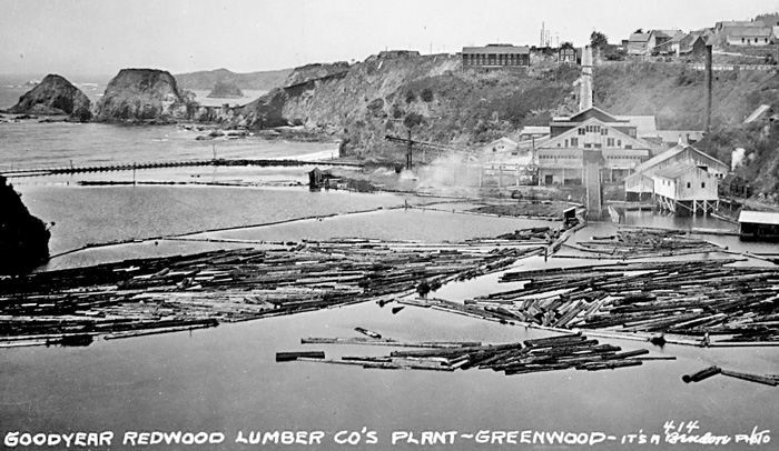 ElkGoodyearMill