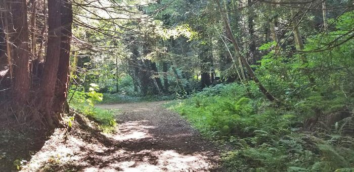 GlenBlairNow