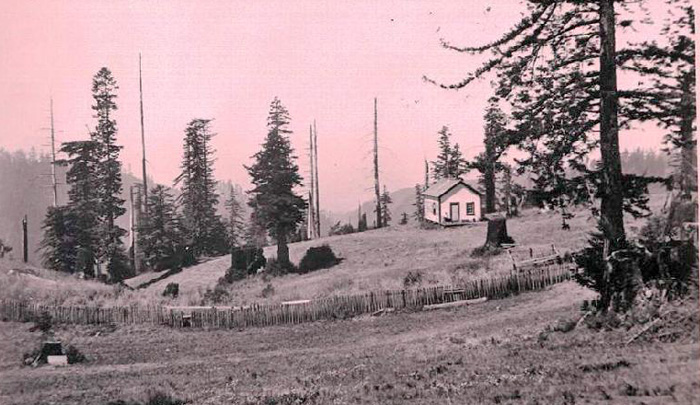 GreenwoodSchool