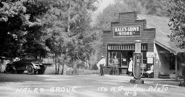 HalesGroveStore