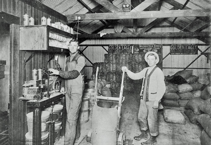 MillerCompanyUkiah