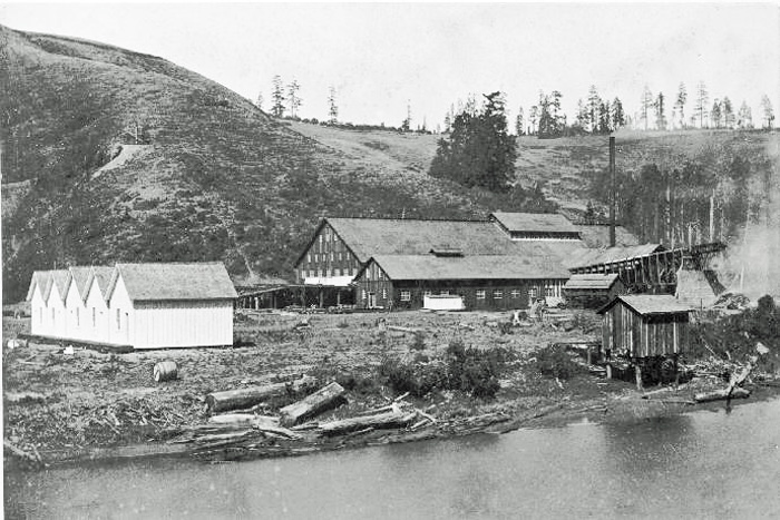 NavarroMill