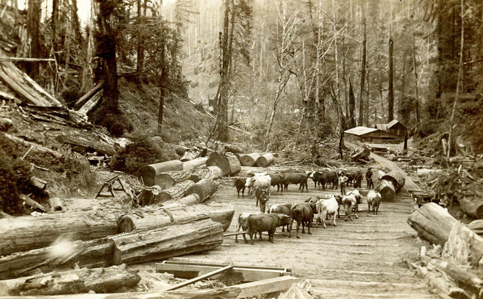 OxLogingFortBragg1880s