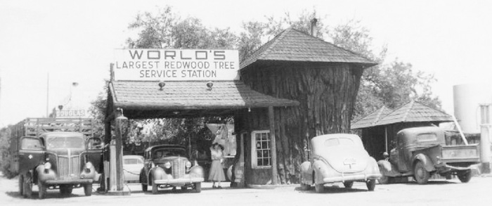 RedwoodTreeStation2r