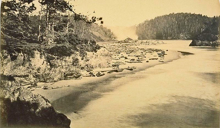 SecondMillMendocino