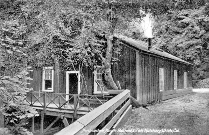 UkiahFishHatchery@StandleyStreet