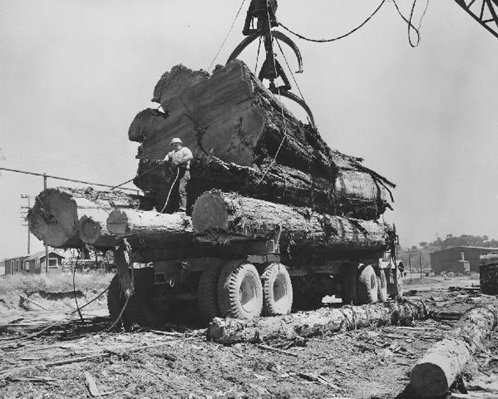 UnionLumberFortBragg