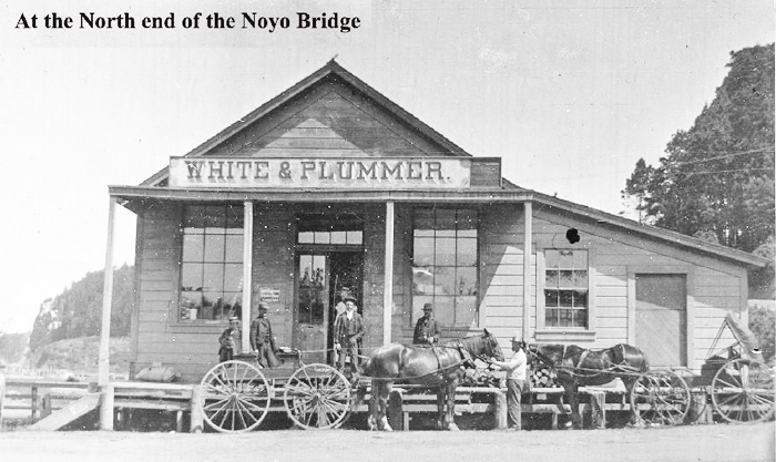White&PlummerStore1890s