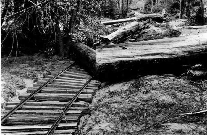 BigRiverFloodDebrisEarly1900s