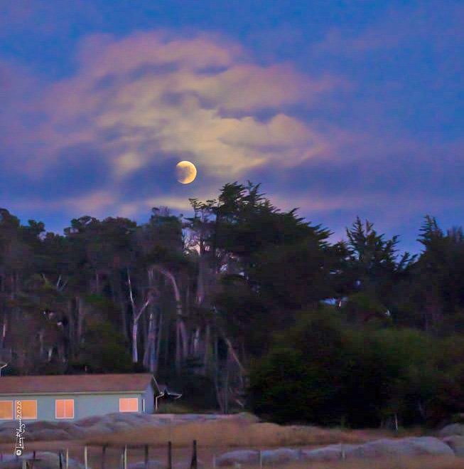 CloudyMoon