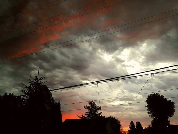 DowntownWillits817