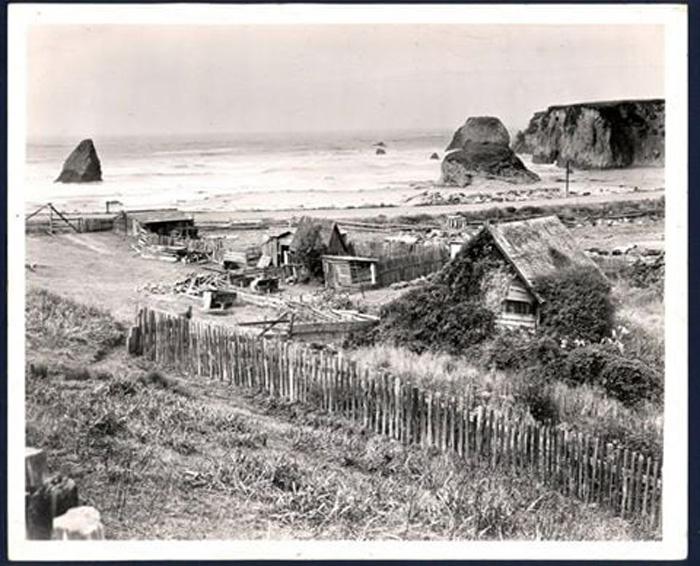 EarlyMendoCoast