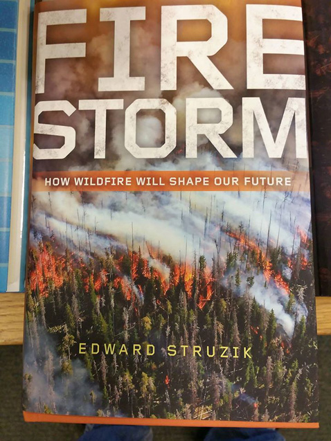 FireStormBook