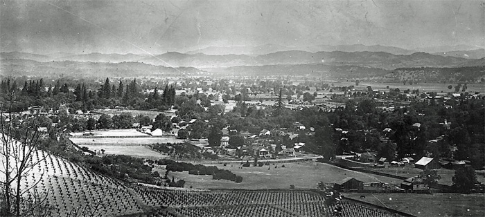 GobbiRanchVineyardsUkiah1900