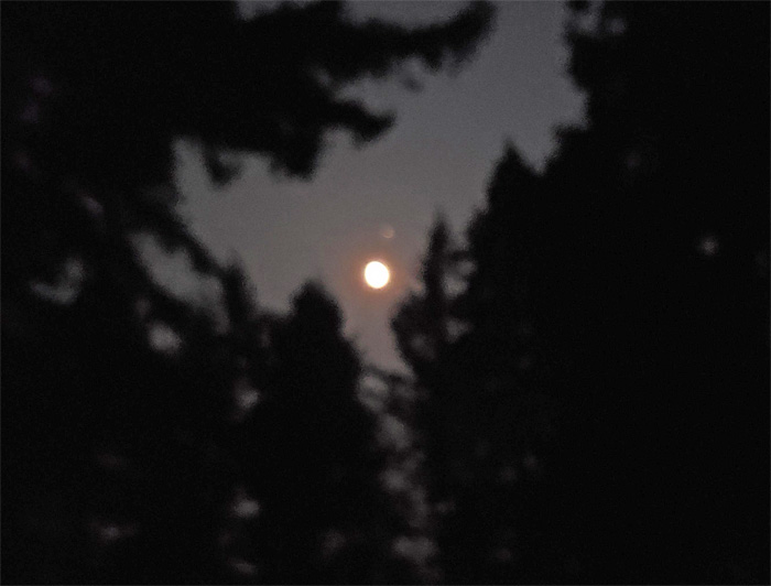 GualalaHolyNightsRB