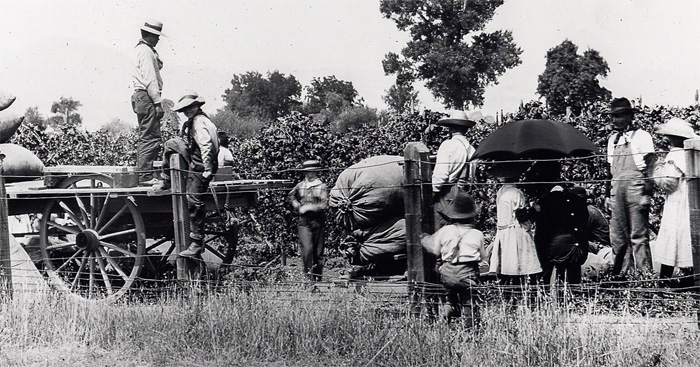 HopPickers1907