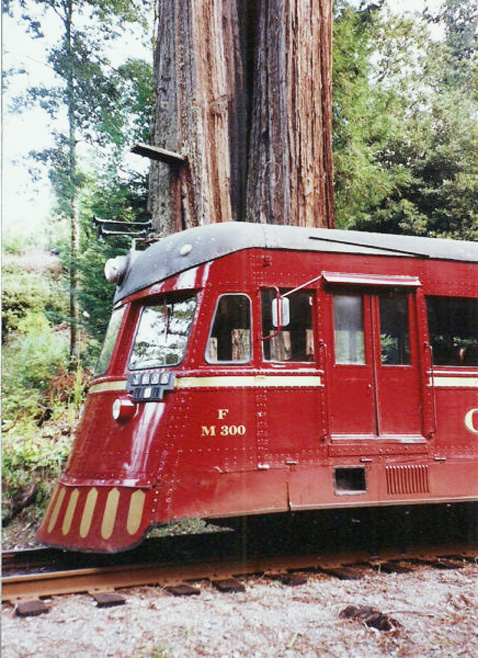 M300