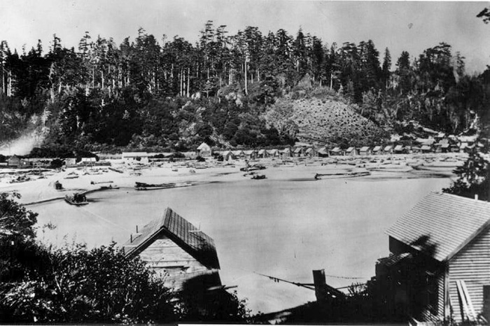 MendocinoLumberOperations