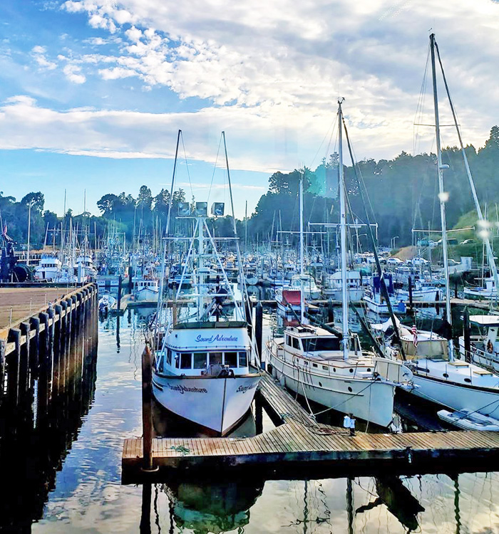NoyoHarbor