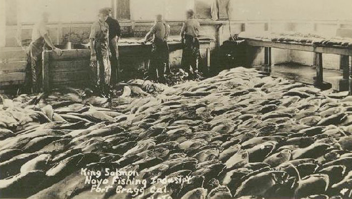 NoyoKingSalmon