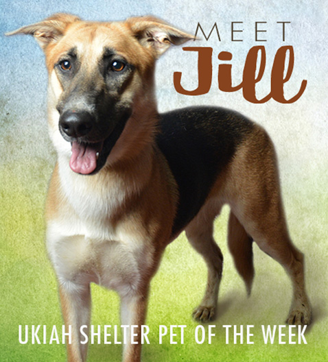 PetOfWeekJill