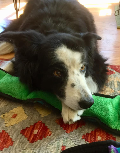 PiperSusanRobinson