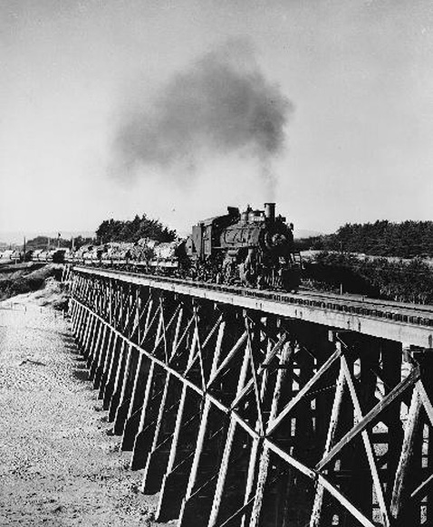 UnionLumberLogTrain