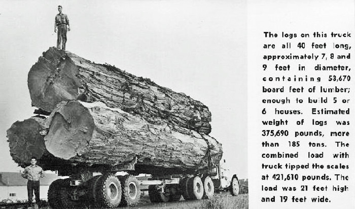 UnionLumberLogTruckFortBragg