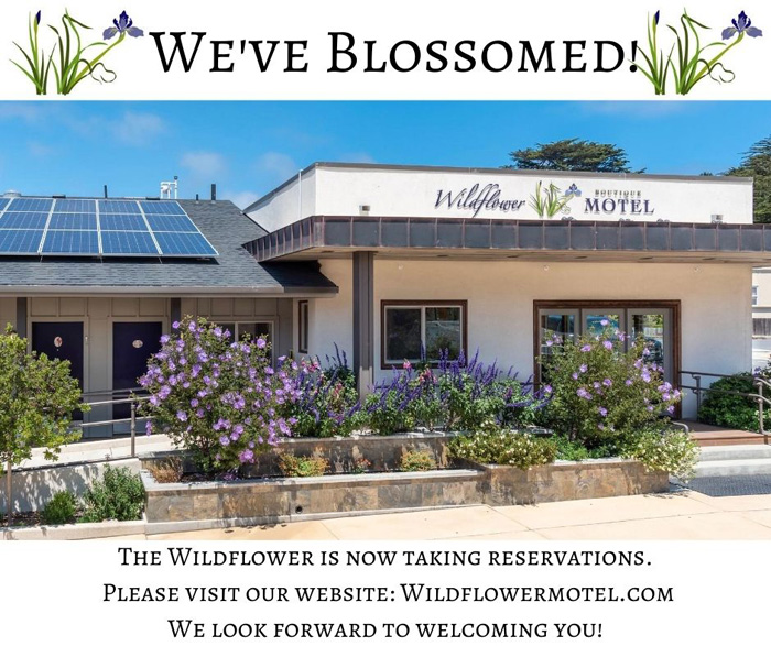 WildflowerMotel