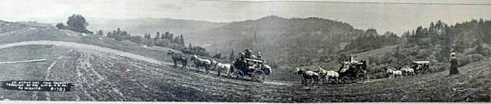 WillitsStagecoach
