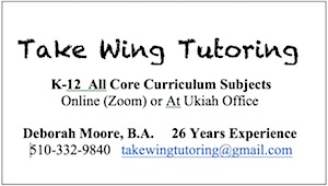 ad take-wing-tutoring 300×170
