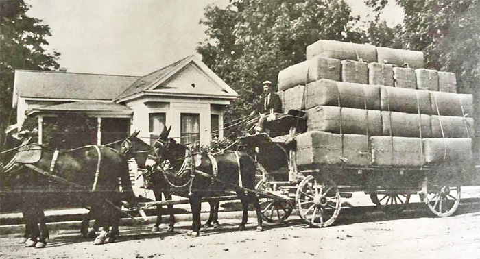 BaledHops1913